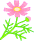 Floricica Floricica