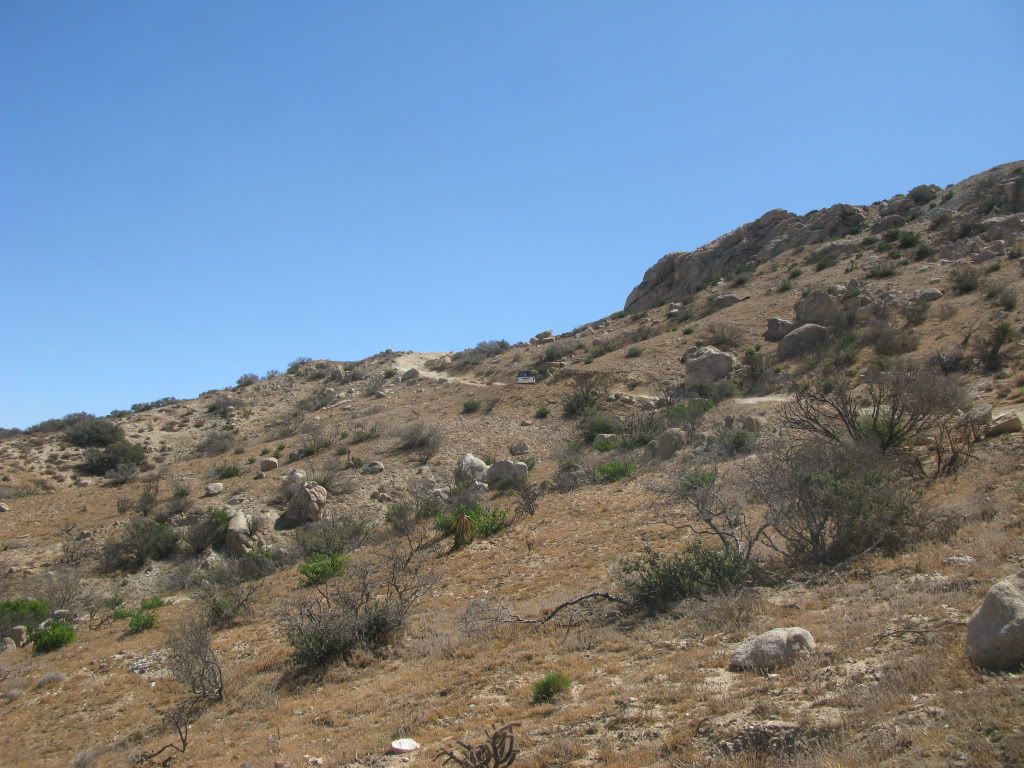 IMG_5614.jpg