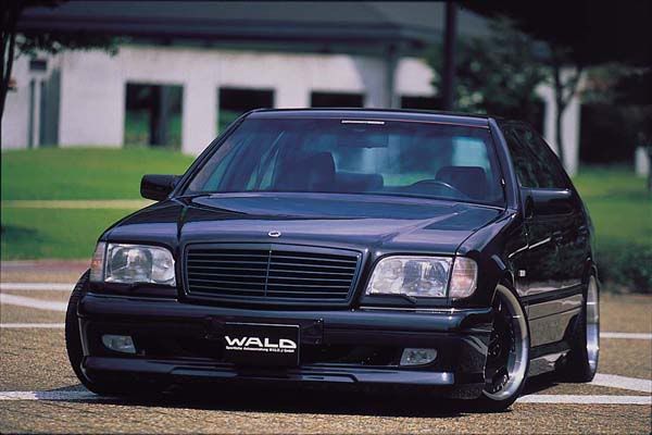 w140_wald.jpg