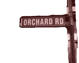 Orchard Rd