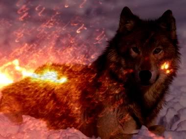 48113-7art-angry-wolves-screensaver.jpg