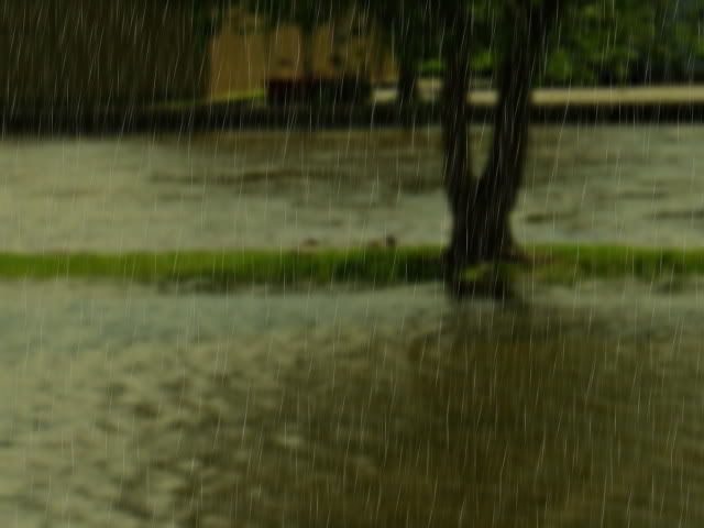 Flood098.jpg