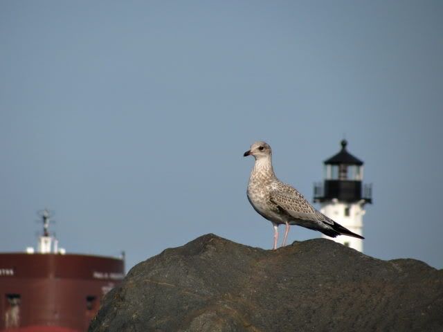 duluth069.jpg