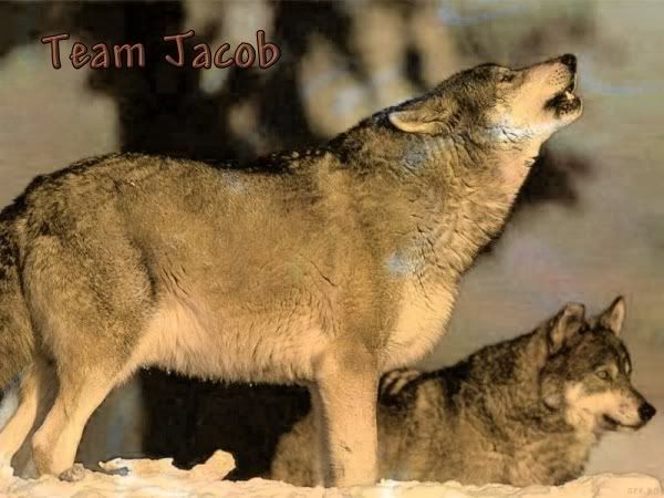 2-howling-wolves.jpg