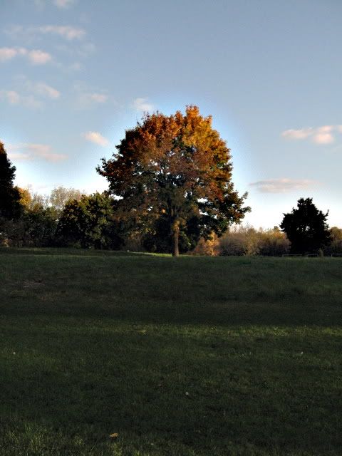 autumn084.jpg