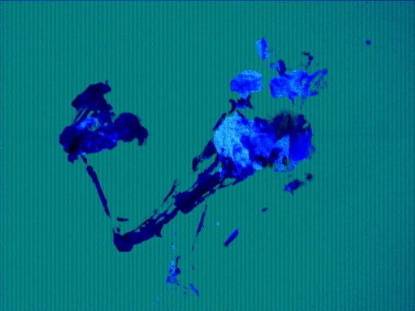 flowersplotchie.jpg
