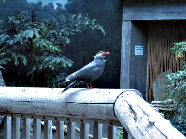 zoo034.jpg