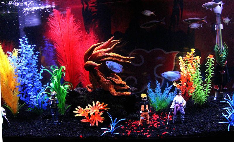 Naruto Themed 45gal - Tropical Fish Keeping - Aquarium fish care and