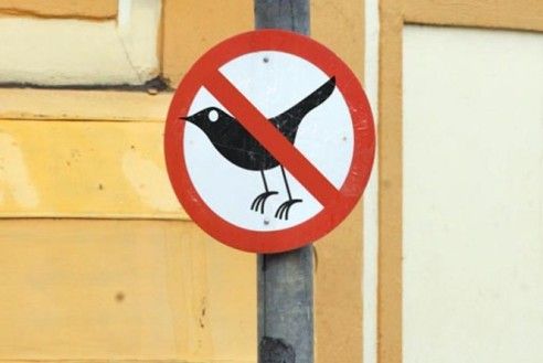 Falha no Twitter: bug na infraestrutura da rede social a deixou inacessível para milhares de usuários em todo o mundo