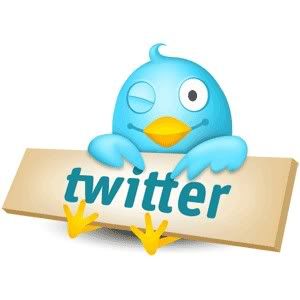twitter com passarinho Pictures, Images and Photos