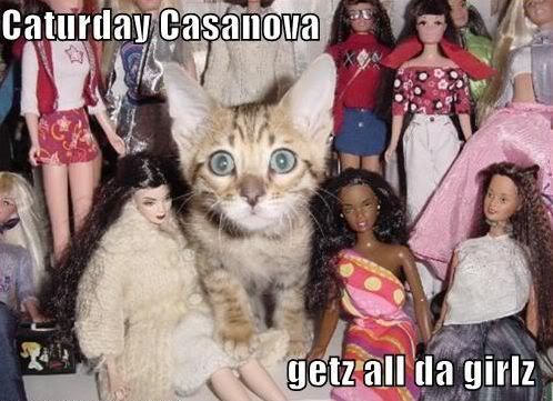 caturdaycasanova.jpg