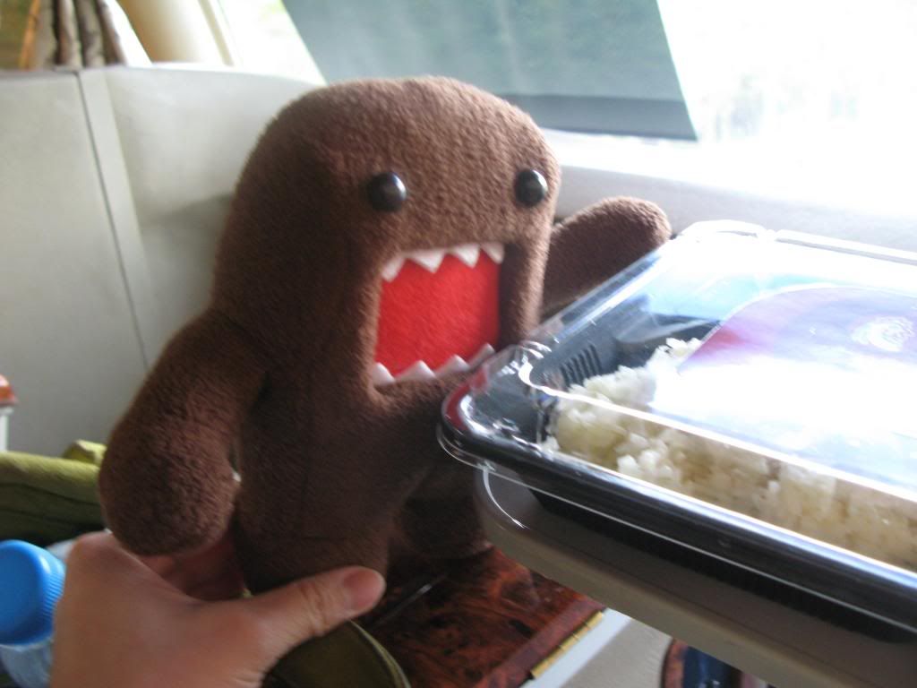 Lunch Domokun with lunch on the aeroline, chicken rice! :D