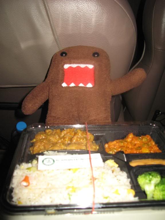 Domokun Dinner Domokun approves of this yummy dinner, though he says Couldve done with more salt in the rice.