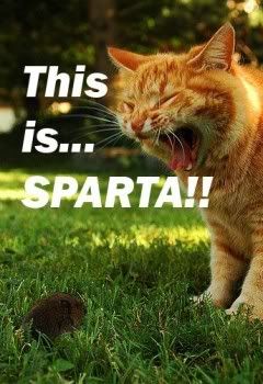 Forum Image: http://i299.photobucket.com/albums/mm284/kavenoff777/LOLCats/SPARTA.jpg