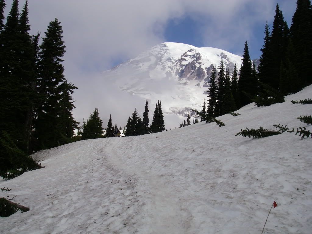 Rainier016.jpg