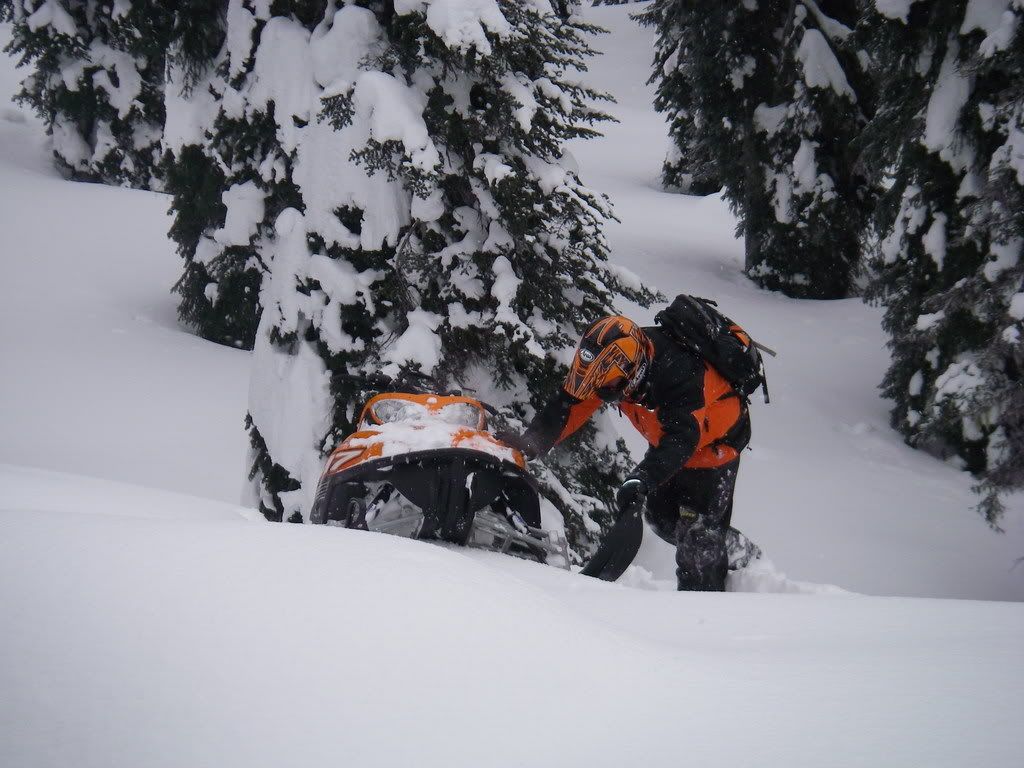 Revelstoke001.jpg