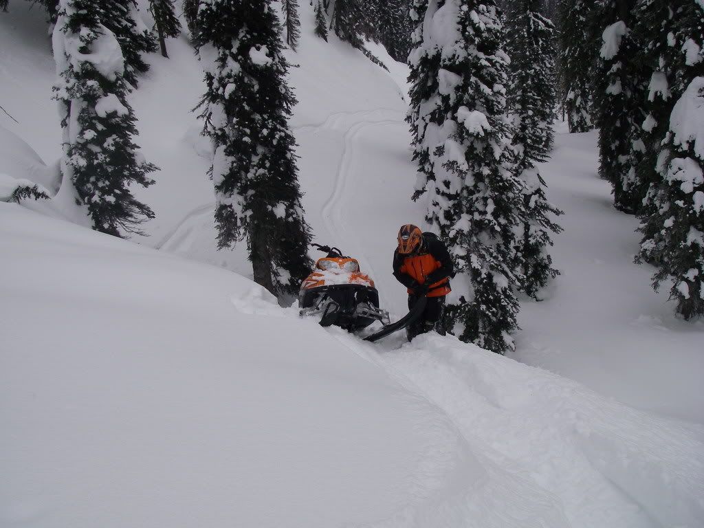 Revelstoke003.jpg