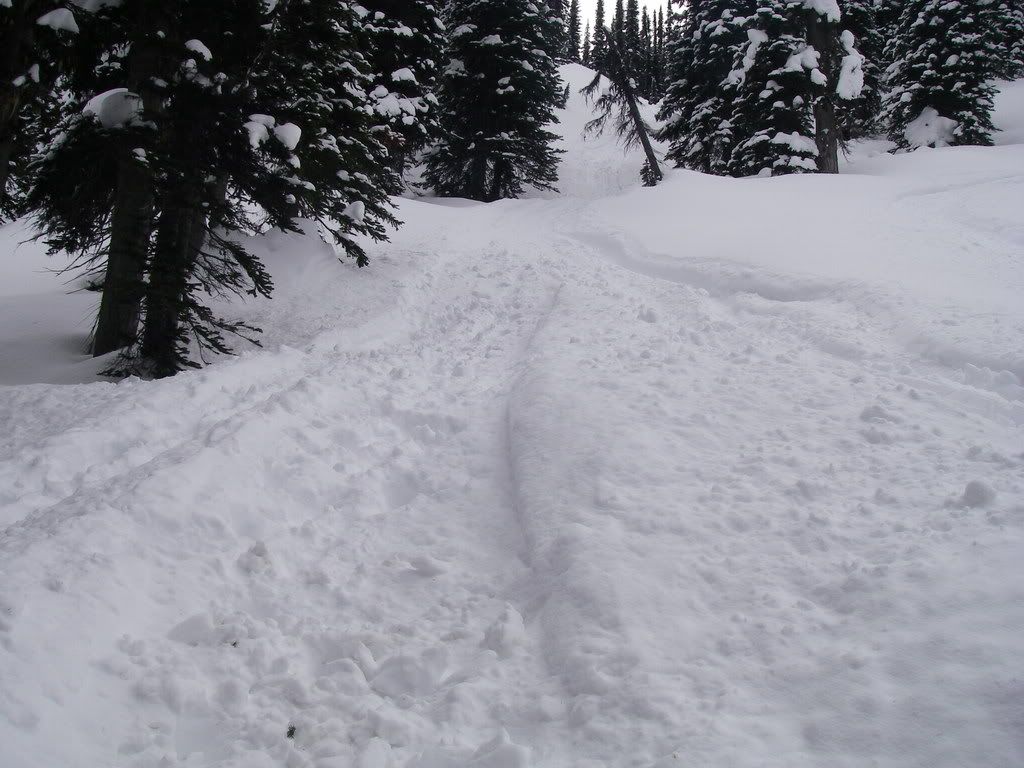 Revelstoke008.jpg