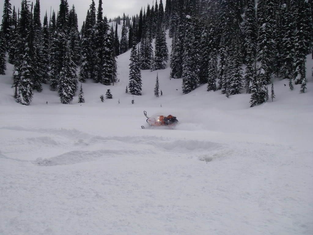 Revelstoke010.jpg