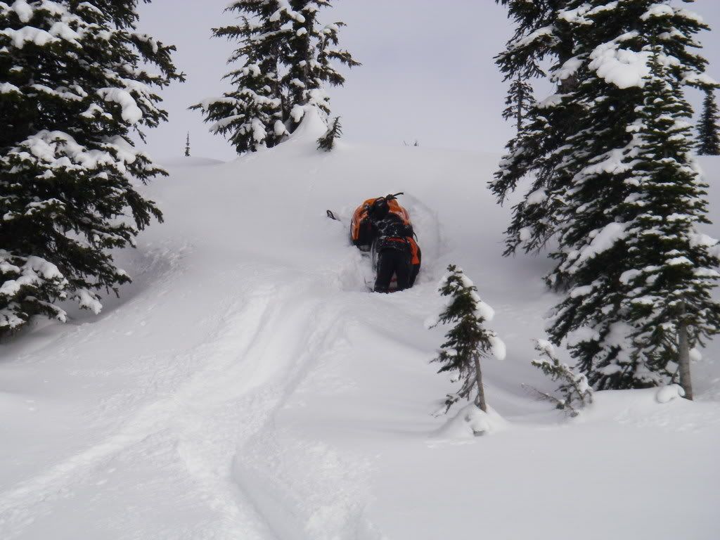 Revelstoke016.jpg