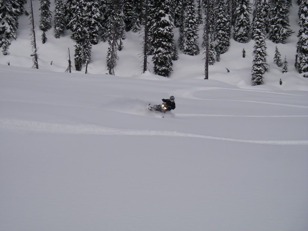 Revelstoke030.jpg