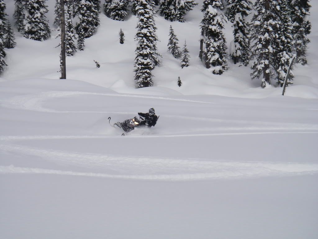 Revelstoke031.jpg