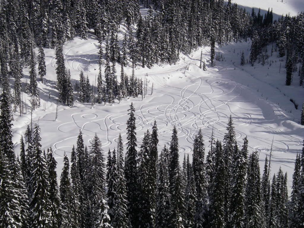 Revelstoke034.jpg