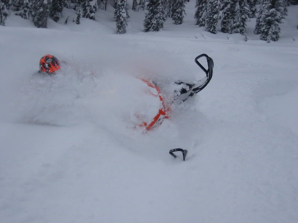 Powdercloseup.jpg