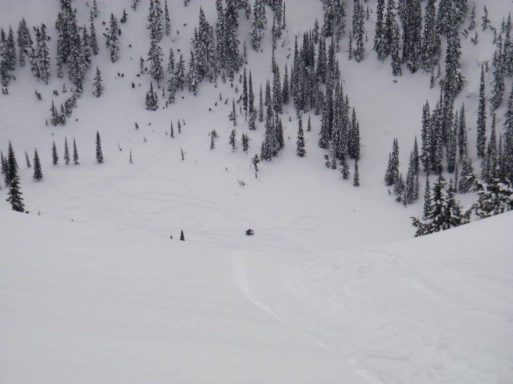 Revelstoke016.jpg