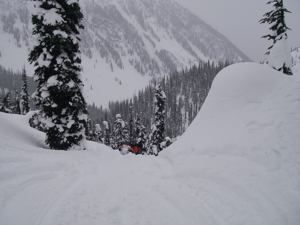 Revelstoke066.jpg