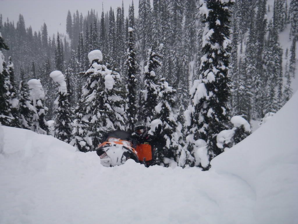 Revelstoke067.jpg