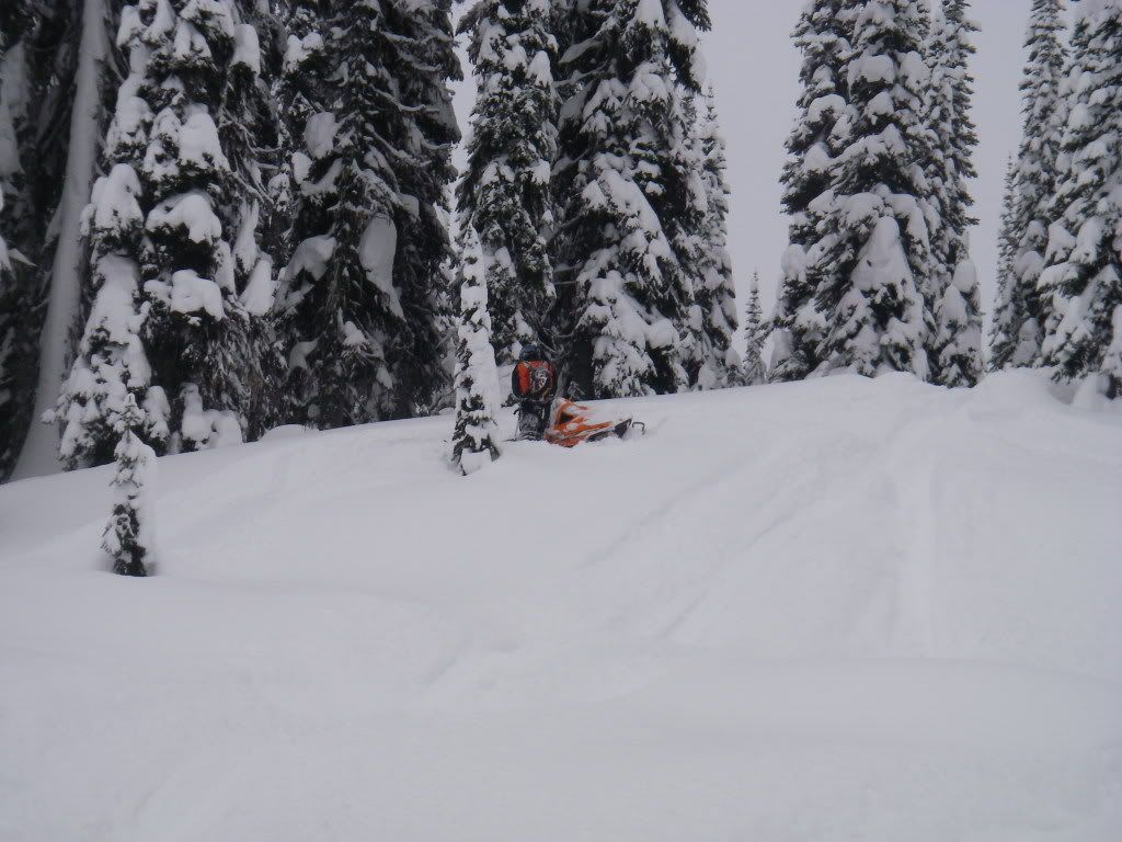 Revelstoke083.jpg