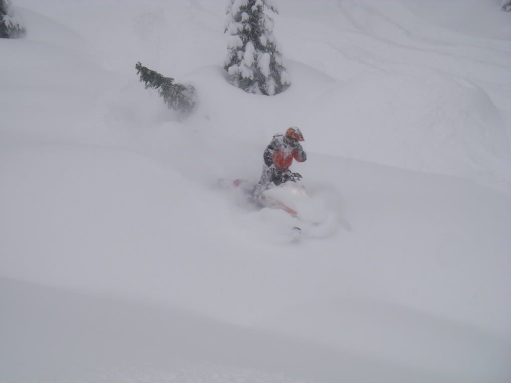 Revelstoke090.jpg