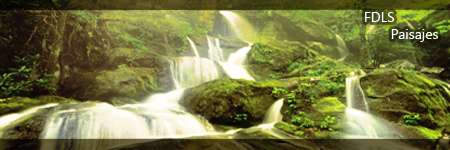 FDLS-Paisajes.png
