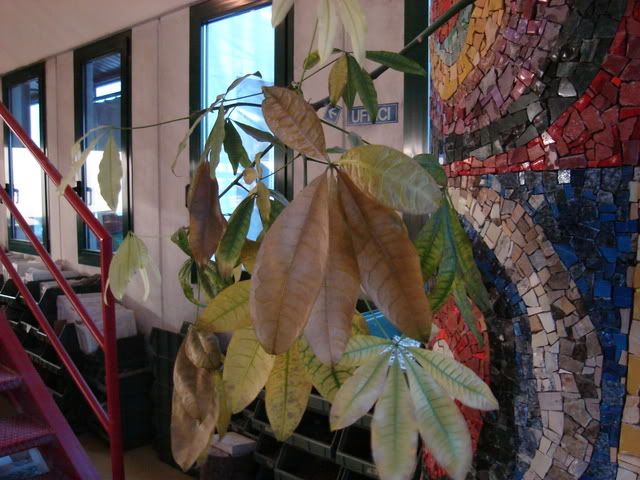 DSC07521.jpg