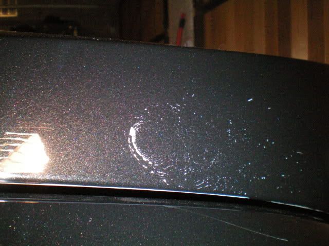 Egg+Damage+to+Car+Paint Egg Damage to Car Paint http://www.detailingworld.co.uk/forum ...