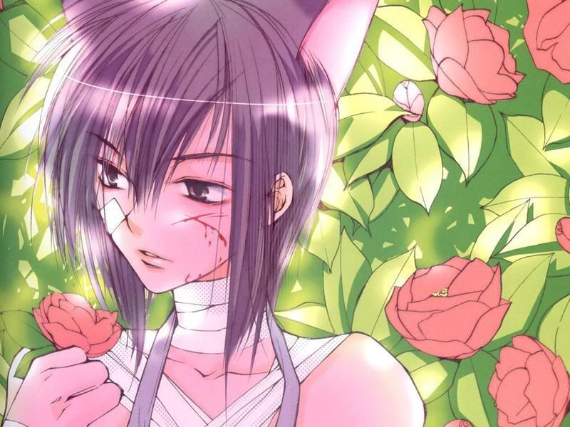 hiiik.jpg?t=1249402601