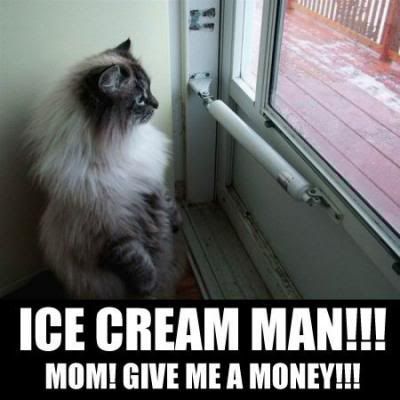 [Image: Funnycats15.jpg]
