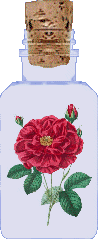 fw_bottleadopt_flowery7.gif picture by rosaliaoxapampa