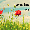 Spring time love