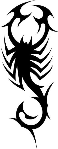 Tribal Scorpion Pictures Images and Photos