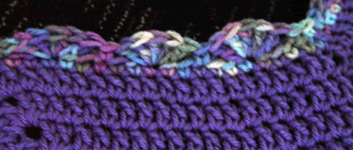 rr-purple-edging.gif