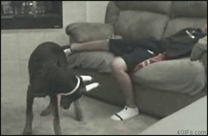 1276641279867.gif