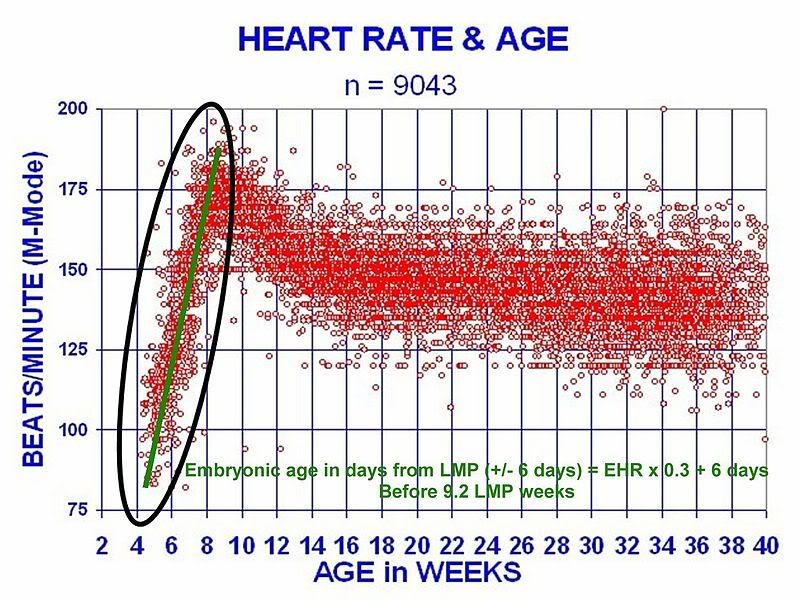 heart rate &amp; age