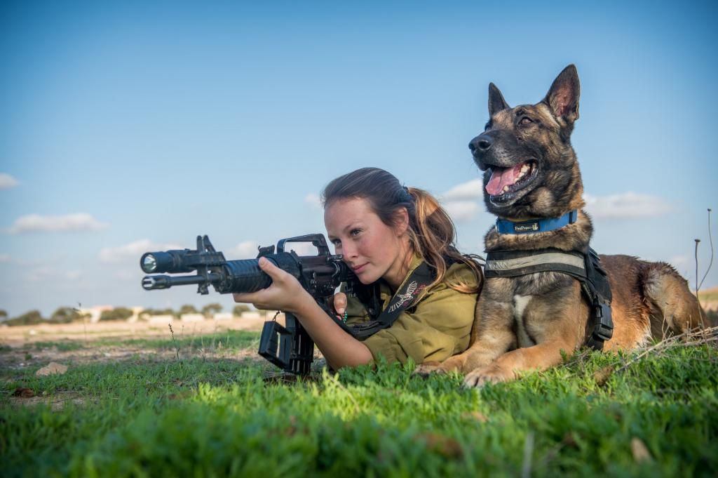 Soldier trains with her dog. photo 14_zps9d5566f9.jpg