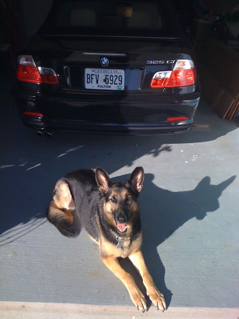 Painting Roof Black DIY (Dare I?) Page 8 BimmerFest BMW Forum