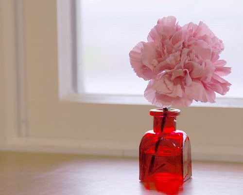 261032761 dd7932f6d7