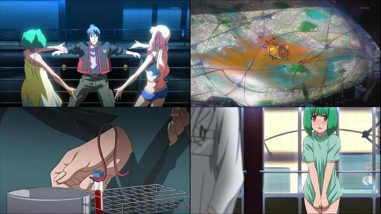 preview-11.jpg
