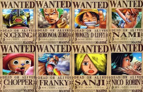 Straw Hat Crew Pictures, Images and Photos