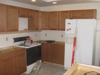 kitchen,renovation,cabinets